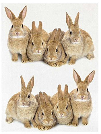 Kracht: Geschirrtuch aus Baumwolle, Digiprint mit Hasen, 50x70 cm