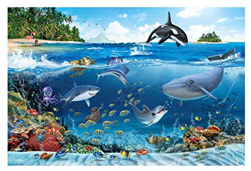 Vliestapete - Unterwasserwelt mit Tieren - Fototapete Breit 290 x 432 cm