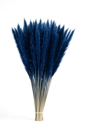 Fresh Plants - Cinq Tiges d'Herbes de Pampa Bleues Stabilisées - 85 cm de Hauteur