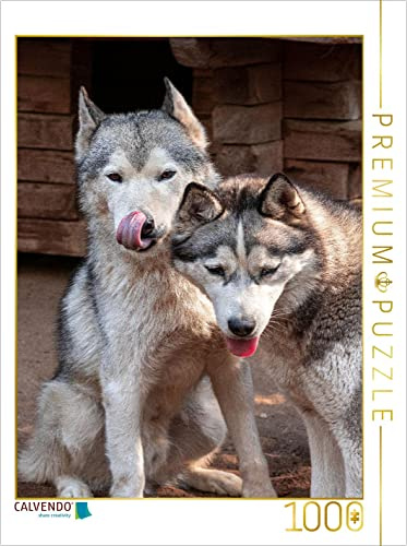 CALVENDO Puzzle Kira und Lennox | 1000 Teile Lege-Größe 48 x 64 cm Foto-Puzzle für glückliche Stunden