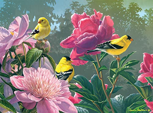 Buffalo Games - Hautman Brothers - Peony Party - 1000 Teile Puzzle