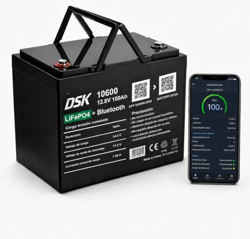 DSK Batería LiFePO4 12V 100Ah con Bluetooth, BMS, pantalla LCD, protección baja temperatura, batería litio 1280 Wh para autocaravana, energía solar, camper, barco, SAI y energía renovable premium