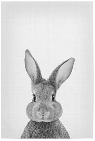 artboxONE Poster 45x30 cm Für Kinder Bunny (Rabbit) Portrait hochwertiger Design Kunstdruck - Bild hase Cute hase