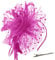DRESHOW Fascinators Sombrero Tocados De Pinza Para El Pelo Cabeza De Mujer Novia Para Fiesta Boda Moderno Con Pluma Royal Ascot Para Niñas y Mujeres