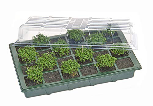 Mini Gewächshaus inkl. Pflanzeinsatz 37,5 x 24 cm mit 24 Töpfen - Mini Treibhaus ideal für die Fensterbank - Zimmer Gewächshaus