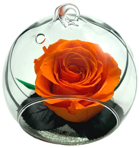 Rose Eternelle La Vie en Rose - Vaso a sfera in vetro, colore: Rosa stabilizzata - Composizione floreale (arancione)