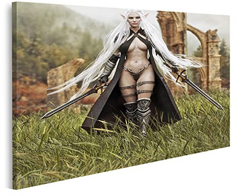 islandburner Bild auf Leinwand Elfen Kriegerin mit Schwertern Fantasy Elfe Bilder Wandbilder Poster