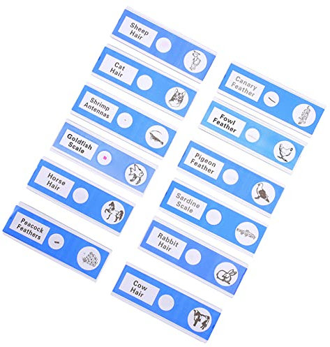 VILLFUL 12stücke Teiliges Mikroskop-objektträger Für Tierische Präparate Biologisches Experimentier-zubehör Für Schulprojekte Und Wissenschaftliche Bildung Aus Kinderfreundlich Und