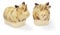 Cooksmart British Designed Salt and Pepper Sets | Salt and Pepper Pots to Suit All Kitchens | Salt and Pepper Shaker for Everday Use - Buttercup Farm