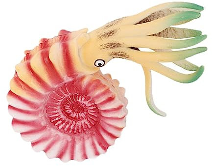Garneck Nautilus-Modell Kuscheltiere Mit Meeresmotiven Lebensechter Nautilus Gefälligkeiten Für Geburtstagsfeiern Ausgestopfte Meerestiere Nautilus Plüschtier Plastik Puppe Kind