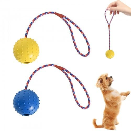Cleminsta 2 Piezas Pelota de Juguete para Perros, Pelota con Cuerda, Pelota con Cuerda para Perros, Perro Lanzador de Bola Interactiva para Mascotas Jugando Ejercicio de Entrenamiento (ø 5 X 30)