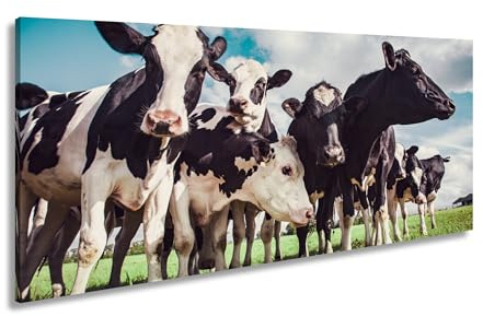 Leinwandbild Neugier im Blick – Kühe auf der Weide unter blauen Himmel. Panorama 120x60cm XXL Kunstdruck Bild auf Keilrahmen/Wandbild/Wohnzimmer Dekoration