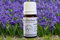 Hyacinth Absolute Oil 5ml (Origin: The Netherlands)