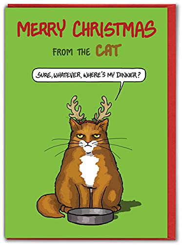 Brainbox Candy - Lustige Weihnachtskarten – Katzenkarten – „From The Cat“ – Haustierkatze – Katzenliebhaber – freche Weihnachtskarte für Sie und Ihn Partner – verkauft von Brainbox Candy