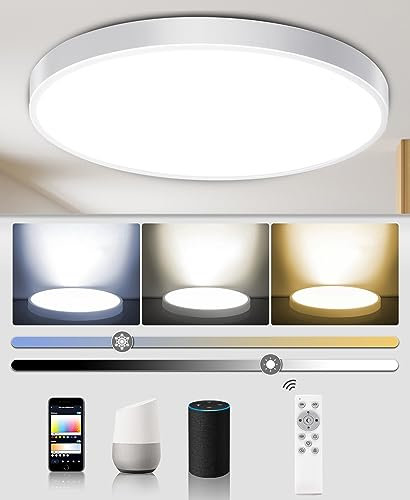Smart Ceiling Light Fixture Flush Mount LED Works with Alexa Google Home for Bedroom Living Room Hallway Bathroom Kitchen Dimmable Remote Control Night Light Low Profile 12 inch 24W Round White