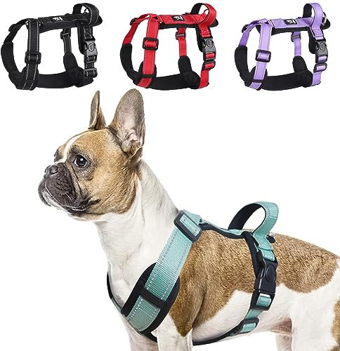 LiebeDD Hundegeschirr Grün M - Brustgeschirr Hund Klein Reflektierend Anti zieh Hunde Geschirr Hund Zuggeschirr Gepolstert mit Griff Dog Harness für Welpen Kleine und Mittelgroße Hunde