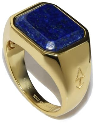 Rock and Steel 'Neptune' Herren Ring Horus Gold Siegelring mit Lapislazuli Stein aus 925 Sterling Silber (Gold, 63 (20.1 mm))