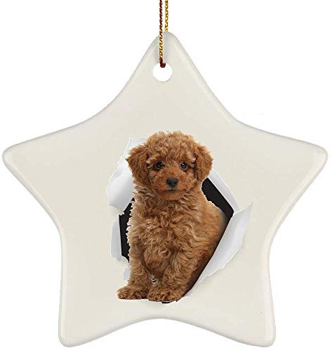 Christbaumschmuck Keramik Weihnachtsbaumschmuck Mit Hanfseil Weihnachtsbaum Deko Lustiger Zwergpudel Braun Kommt Aus Rissiger Wand