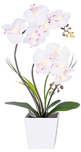 HOMESEASONS Orchid Lamp-LED Lighted Orchid Arrangements,Pre Lit Artificial Orchid,Light Up Flower Lights, Faux Orchid Phalaenopsis Arrangement (White)