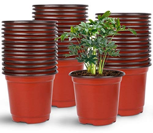 Augshy 75 Pièces 10CM Pots de Fleurs en Plastique Intérieur, Adapté pour Semis, Fleurs, Succulentes