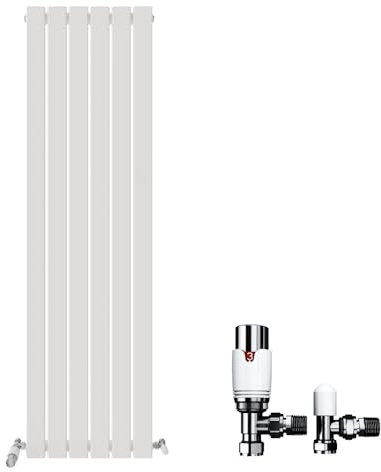 iBathUK Regency Traditional Horizontal Column Double Panel, Raw Metal Iron Style Radiators for Bathroom,Kitchen,Living Room 600 x 1010mm