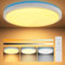 papasbox 36W Ø28cm Decke Deckenlampe LED Wandlampe | Deckenleuchte 3000-6500K Dimmbar mit Fernbedienung | IP44 Wasserfest Wand Lampen für Küchenlampe Schlafzimmer Blau