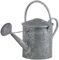 Riego Zinc pesados 5 litros
