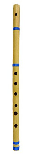 Traditionelle Musikinstrument Flute Brown Collect Holz Bamboo Bansuri