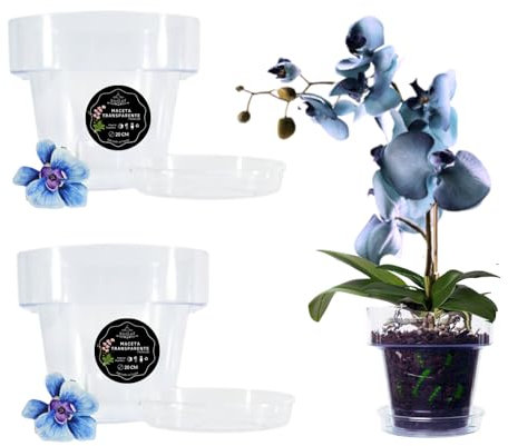 LiveLaif® -2 pezzi Ø20 cm - Vaso orchidea trasparente rotondo + piatto | vaso trasparente orchidea | fori drenanti, effetto vetro, vaso per orchidee, realizzato in Spagna-vari modelli/dimensioni