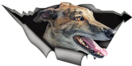 GENMIP Persönlichkeit 3D Auto Aufkleber Windhund Haustier Tier Aufkleber Auto Zubehör Auto Fenster wasserdichte PVC 13 cm X 6 cm