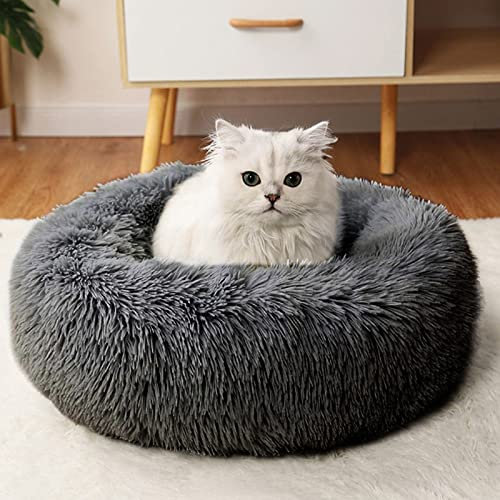 CALIYO Katzenbett Flauschig, Hundebett Kleine Hunde, Katzenkissen Hundekissen Waschbar, Trocknergeeignetes Katzen Bett, Hundebetten Rund Katzenkörbchen Durchmesser 60 cm(Dunkelgrau)