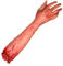 Halloween bras coupé horreur sanglant faux outil bras cassé blague astuce accessoires de fête d'Halloween Halloween horreur sanglant faux bras coupé Halloween bras cassé bras de simulation d'Halloween