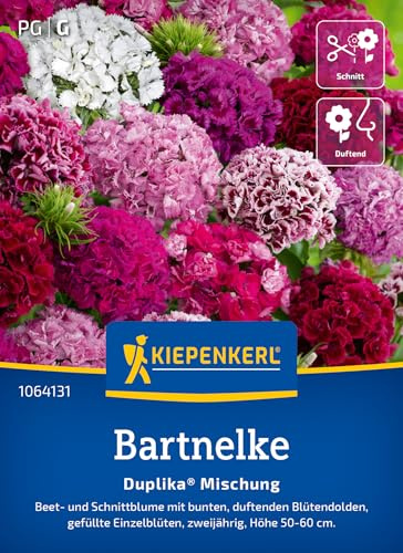 Kiepenkerl Bartnelkensamen Duplika® Mischung 1064131, Sommerblumensaat | Bunte Nelkensamen für farbenfrohe Blumenmischung für Beet & Kübel, Blumenwiese, als Schnittblume, zweijährig