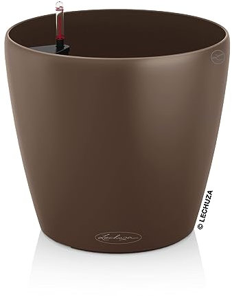LECHUZA CLASSICO Color 28 noce moscata 13203