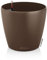 LECHUZA CLASSICO Color 28 noce moscata 13203