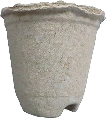 Pflanztöpfe kompostierbar, rund, 0,3 Liter, 50 Stück (Preis je Stück: 0,27 Euro), (Höhe 9,8 cm/ Ø oben 10,5 cm, Ø unten 6,2 cm), hergestellt aus deutscher Zellulose, Anzuchttöpfe, Aussaattöpfe
