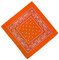 Unbekannt Bandana Kopftuch Halstuch Nickituch Biker Tuch Motorad Tuch verschied. Farben Paisley Muster, Orange, ...
