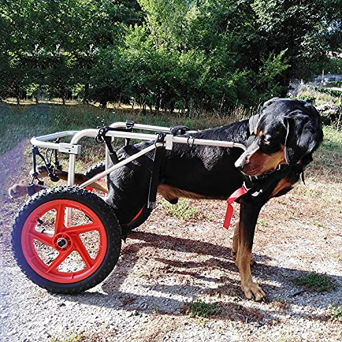 Cora Pet Sedia a Rotelle per Cane Carrellino Scooter Carrozzina per Cani,Adatto a Animali Domestici Disabili Piedi Gambe Posteriori Riabilitazione,Regolabile,2 Ruote