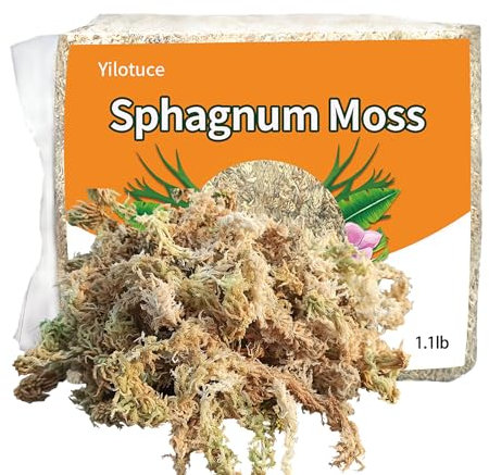 Yilotuce 500g Naturale Sfagno, Ottimo per Orchidee, Felci a Corno di Cervo, Piante Carnivore, Piantine, Radicazione di Talee, Buon Terriccio per Orchidee
