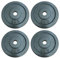 Chase Fitness Cast Iron Weight Plates, 1.25kg - 20kg, 1-Inch Hole, for Barbell and Dumbbell Training (5KG X 4)