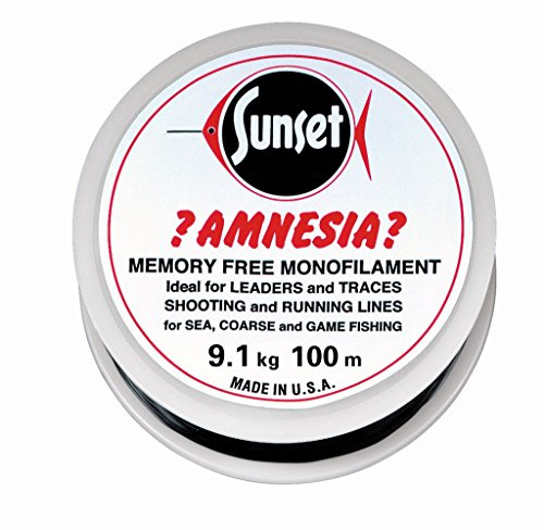 Jenzi Amnesia Leader Vorfach Schwarz, 20lbs 100m