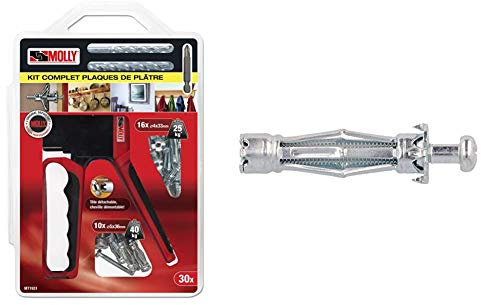 Molly M71931-XJ M71931 Kit d'Outils Gris & M18106-XJ Chevilles Métalliques à Expansion avec Vis M6 Ø 11mm, 50 mm, Gris, Set de 10 Pièces
