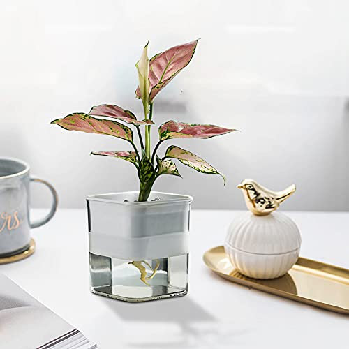 URFEDA Pots à orchidées fendus - Systèmes d'arrosage - Pots de fleurs en filet robuste pour décoration de la maison - Pot de fleurs à double couche - Visualisation transparente - Pot de fleurs