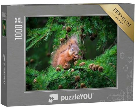 Puzzle 1000 Teile XXL „Das kleine Eichhörnchen schlemmt hoch Oben im Baum“ – aus der Puzzle-Kollektion Eichhörnchen, Tiere in Wald & Gebirge