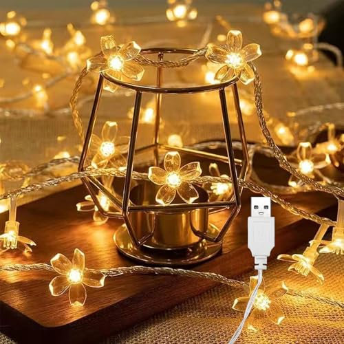 ENLACE Lichterkette Kirschblüten, 3M 20 LED Lichterkette Blumen mit USB, Warmweiß Blumen Lichterkette für Garten, Hochzeit, Innen, Außen, Terrasse, Bäume, Weihnachten, Party Deko