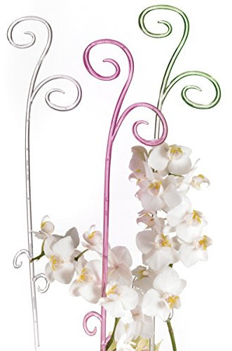 Scheurich 48195-Indoor Orchideenstab 1 x 9 x 62 cm, transparent