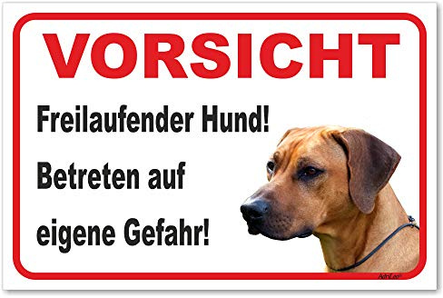AdriLeo Schild - Vorsicht Rhodesian Ridgeback - Freilaufender Hund - (20x30cm) / Achtung Hund Wachhund robust langlebig UV-beständig wetterfestes Warnschild