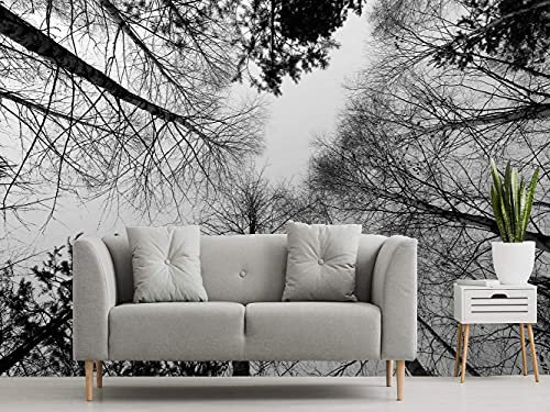Oedim Carta da parati con alberi bianco e nero, decorazione per stanze, decorazione per pareti, murali
