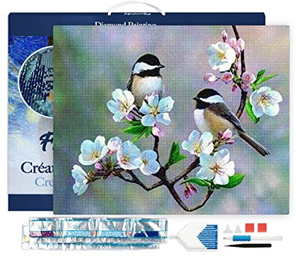 Figured'Art Diamond Painting Erwachsene 40x50cm Mit Rahmen Ganze Leinwand gespannt Kleine Vögel und weiße Blumen 5D Bilder Eckige Steine - DIY Set Basteln
