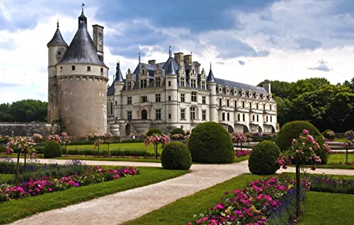 LHJOYSP Puzzle Kinder 3D Puzzle 1000 Teile Stadt Frankreich Schloss Chenonceau Edel und Loire 75x50cm